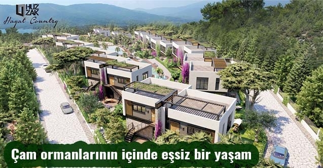 Çam ormanlarının içinde eşsiz bir yaşam